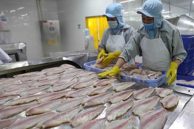 Tra fish export value predicted to top US$1.6 billion in 2022